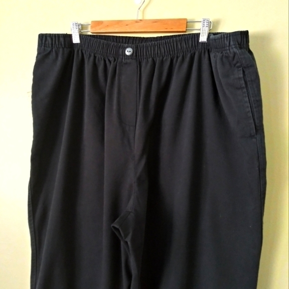 Woman Within plus size  pull on pants - Picture 4 of 8